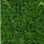 Изгородь декоративная искусственная Дизайн Z8 Summer 1213 400х600 мм