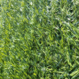 Изгородь декоративная искусственная Дизайн НВ 009 1500х10000 мм