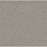 Линолеум коммерческий гетерогенный Juteks Premium Nevada 2_9001 серый