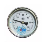 Термометр биметаллический Метер ТБ63 Дк 63 мм L 100 мм 1/2 дюйма 120 С осевой