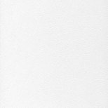 Панели ПВХ Век 2G-031 Белый Матовый