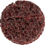 Круг шлифовальный Abraform Diablo RTYPE-SCB-MEDIUM-50 50 мм