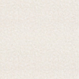 Обои виниловые на флизелиновой основе Vilia Wallpaper Эра 1574-61