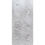 Стеновая панель ПВХ Панельпласт Шангри-Ла 7203/2 2700х250х8 мм