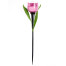 Садовый светильник Uniel Classic USL-C-451/PT305 Pink Tulip на солнечной батарее