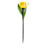Садовый светильник Uniel Classic USL-C-452/PT305 Yellow Tulip на солнечной батарее