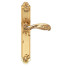 Ручка дверная Archie Genesis Flor PS проходная матовое золото