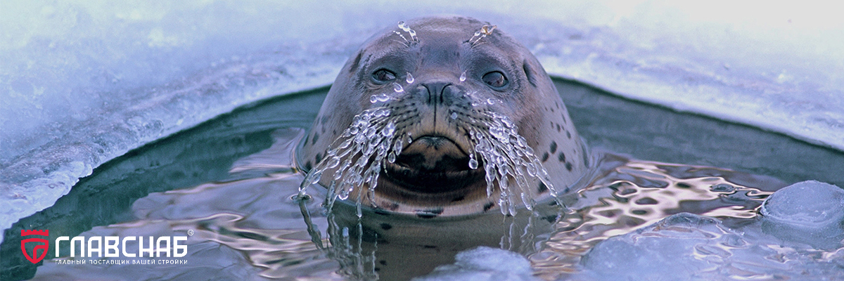 Как самостоятельно сделать прорубь