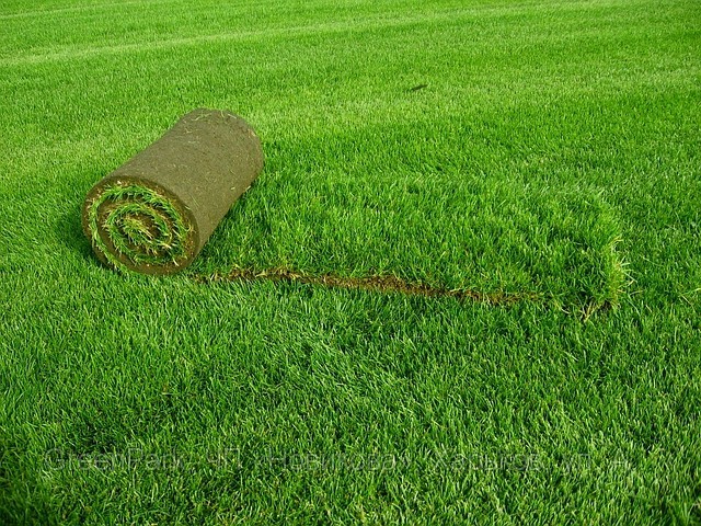 Укладка искусственной травы | Tarkett